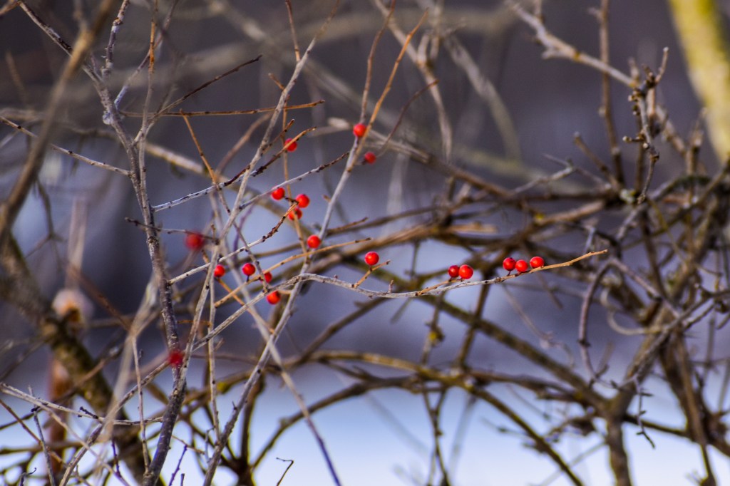 Image Copyright @WordyVirdee
